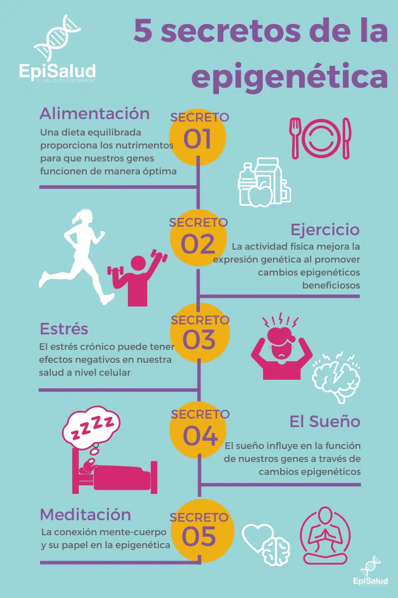 Infografía de los 5 secretos de la epigenética