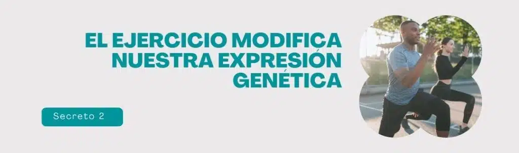 La actividad física puede mejorar la expresión genética al promover cambios epigenéticos beneficiosos