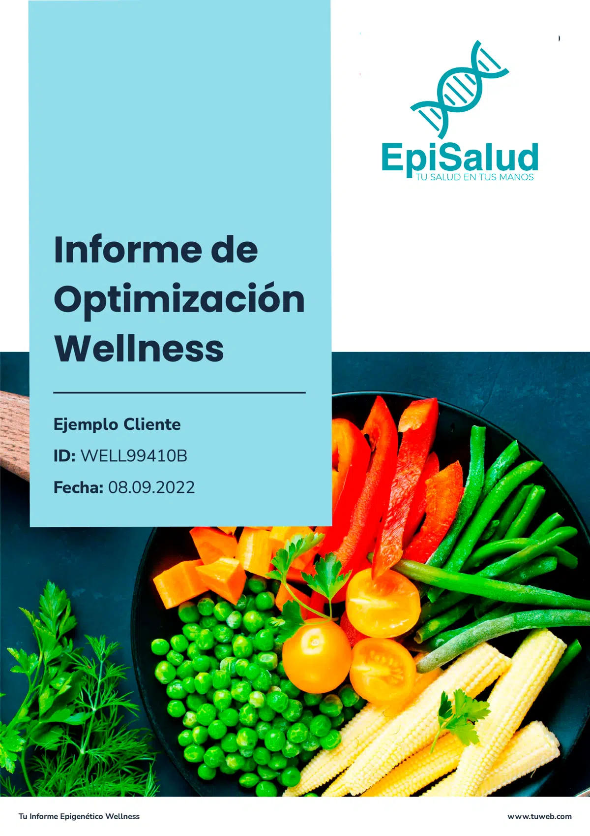 Informe de Optimización Wellness