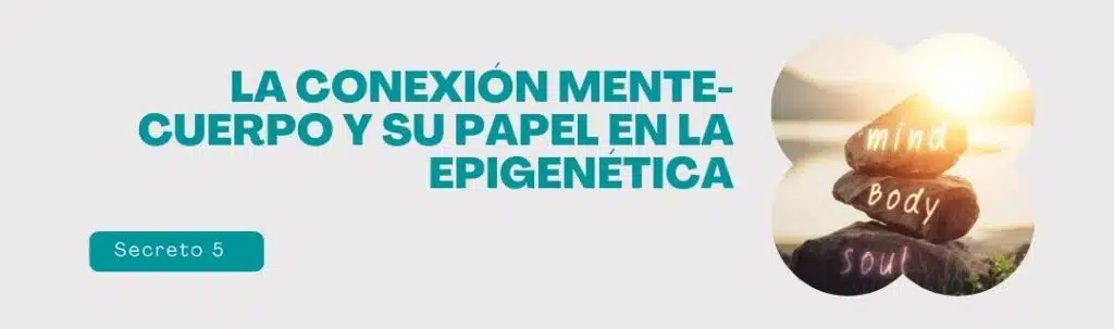 La meditación también puede influir en nuestra epigenética, ya que favorece cambios en la metilación del ADN y en la expresión genética