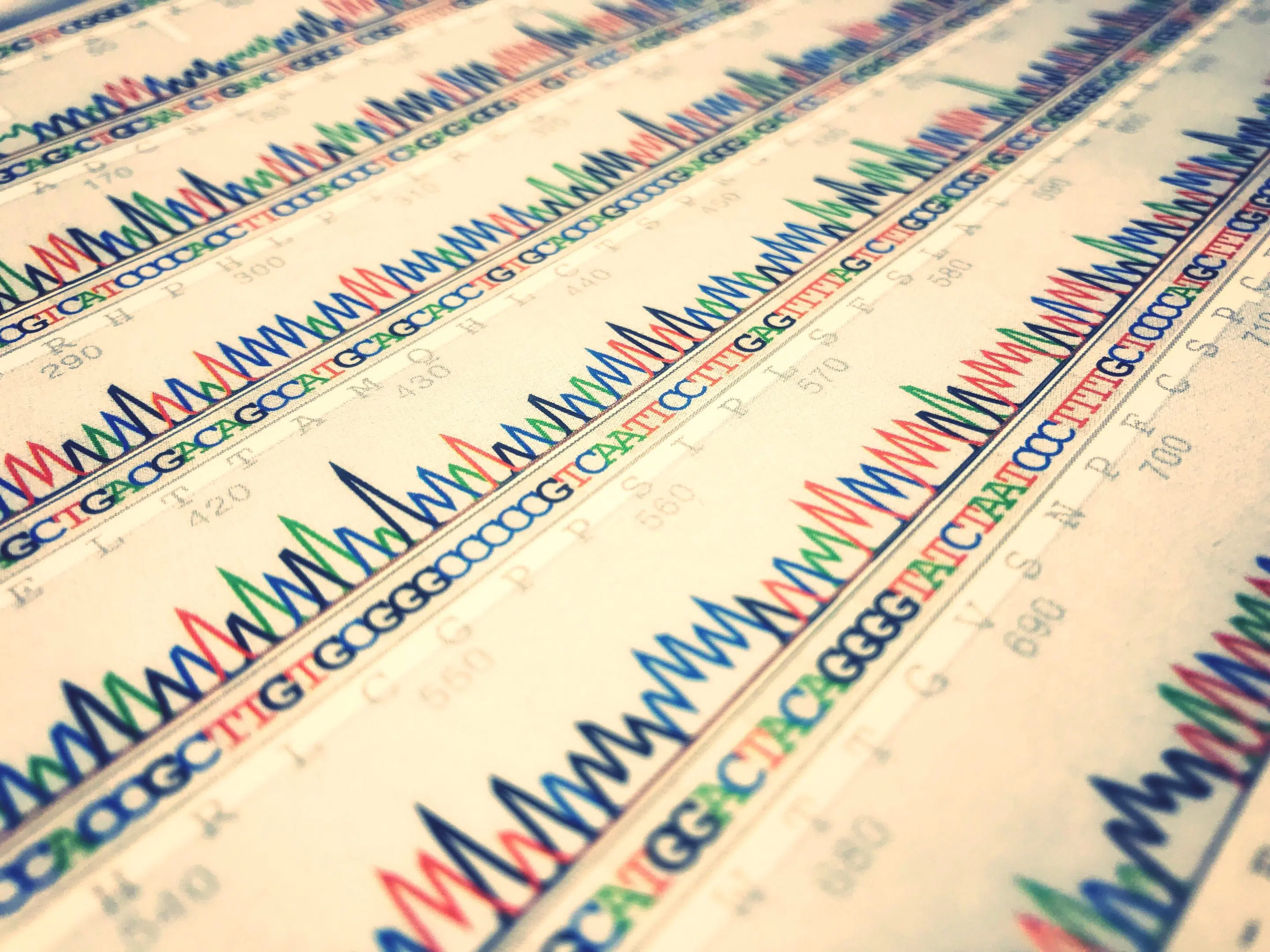 Nutrigenómica - data sheet of dna sequence 2022 11 01 08 37 17 utc scaled