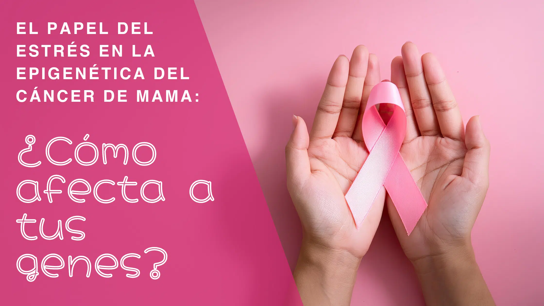 El papel del estrés en la Epigenética del Cáncer de Mama: ¿Cómo afecta a tus genes? - Imagen Post 2024 3