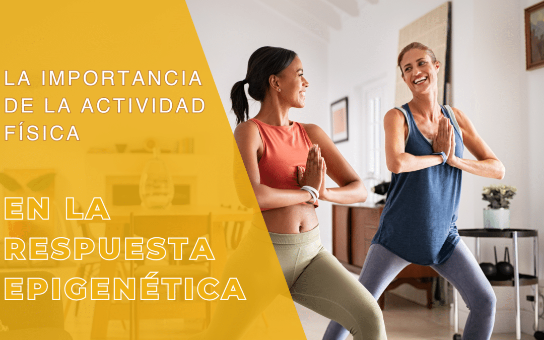 La importancia de la actividad física en la respuesta Epigenética